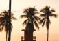 The New Owner Of Rio Las Vegas: What Can You Expect Soon?