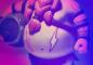 Tools To Make Winning League of Legends Bets: All On The Web!