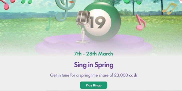 Ingyenes bingó ajánlat a Bet365 oldalán