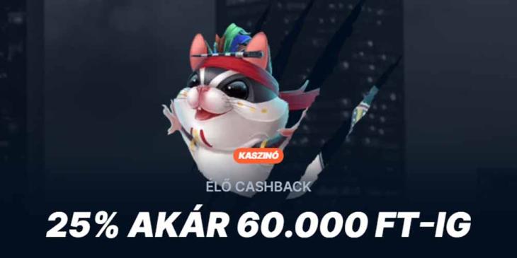 Playzilla Kaszinó Visszatérítés Akciók