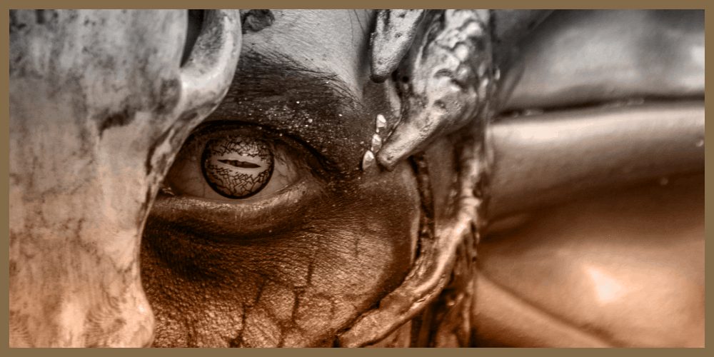 Az első D&D karaktered