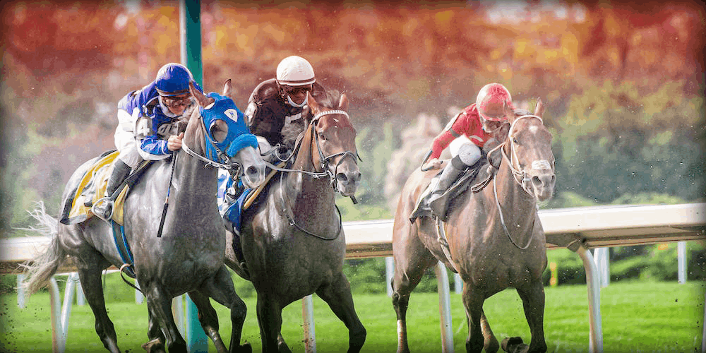 Magyar versenyló fogadás