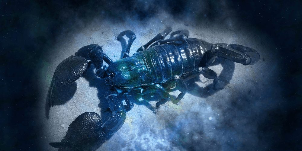 Skorpió horoszkóp ma