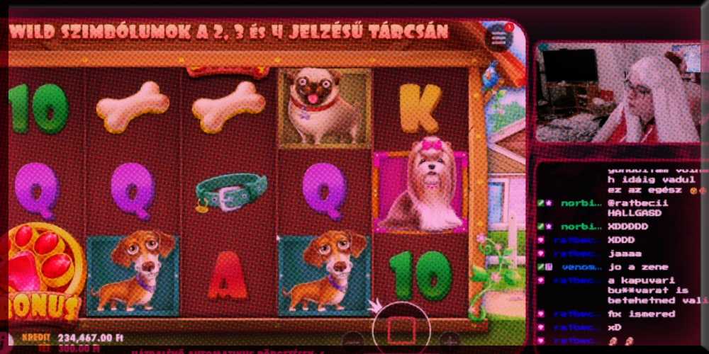 legjobb magyar slots streamer The TeSSek