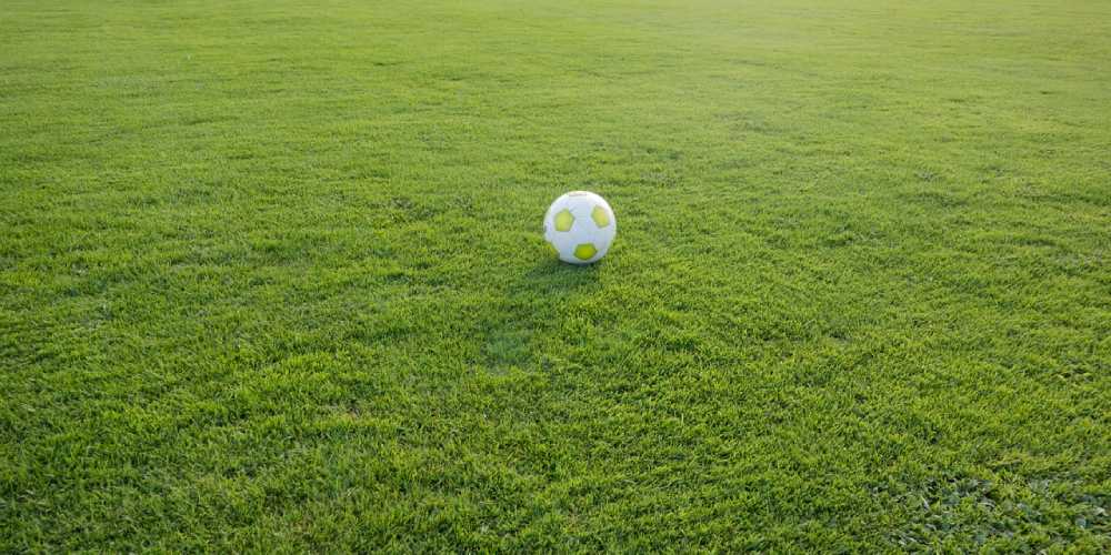 Svájci labdarúgó-bajnokság fogadási tippek – A novemberi szorzók