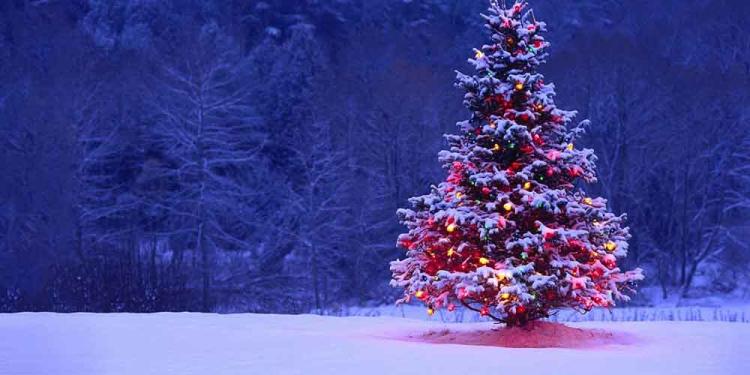 Karácsonyi fogadások: tedd meg az ünnepi téteket!