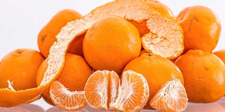 Megéri még Orbánra fogadni? – Így a választás előtti utolsó héten