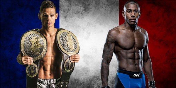 New Laws Officially Ban MMA in France