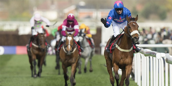Coral Back The Future Of The Punchestown Gold Cup
