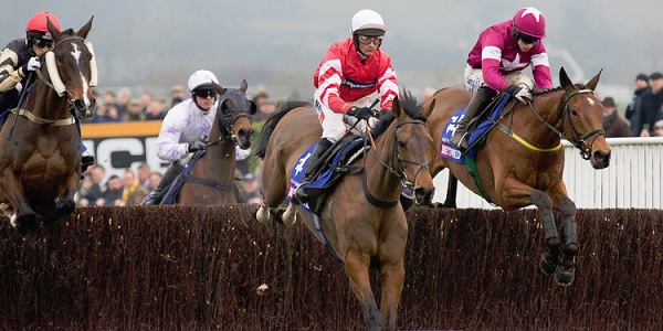 Bet On Cheltenham – Best Odds Guaranteed by Bet365