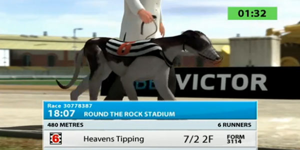 Betting on Virtual Greyhound Racing is a More Ethical Wager