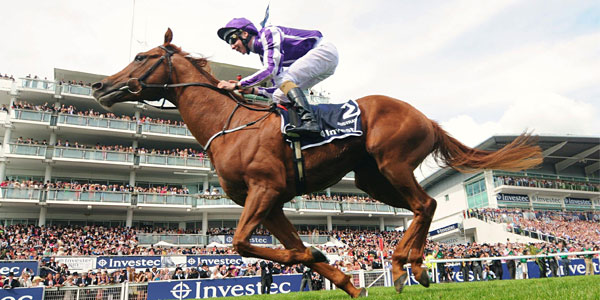 Bet On The Epsom Derby – The Epitome Of Flat Racing