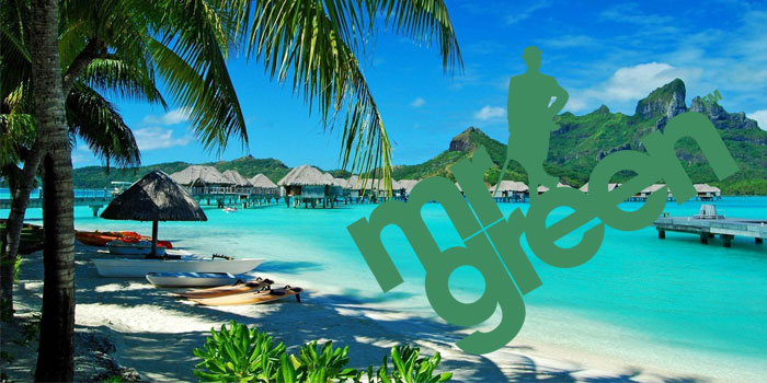 Win a Trip to Hawaii with Mr Green Casino