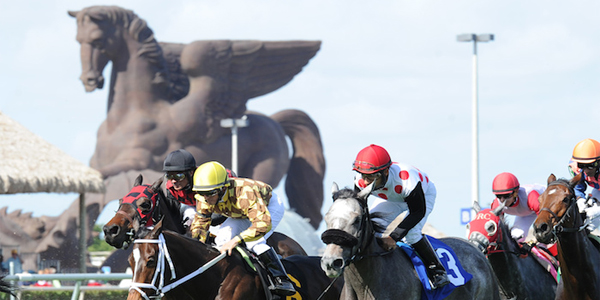 Racing Wagers Don’t Get Better Than The Pegasus World Cup