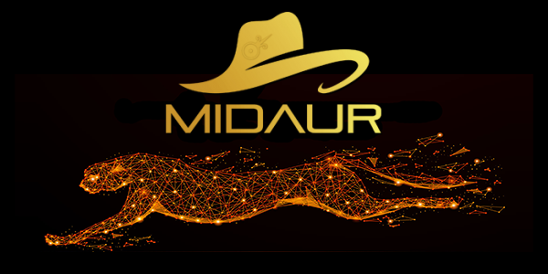 Review about Midaur Casino