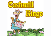 Cashmill Bingo