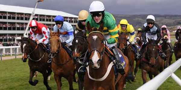 Cheltenham Festival Confirms the Importance of Bookies-Punters Relationship