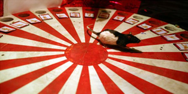 From Gerbil Roulette to the Chicken Challenge, a Look at the Weirdest Casino Games Out There