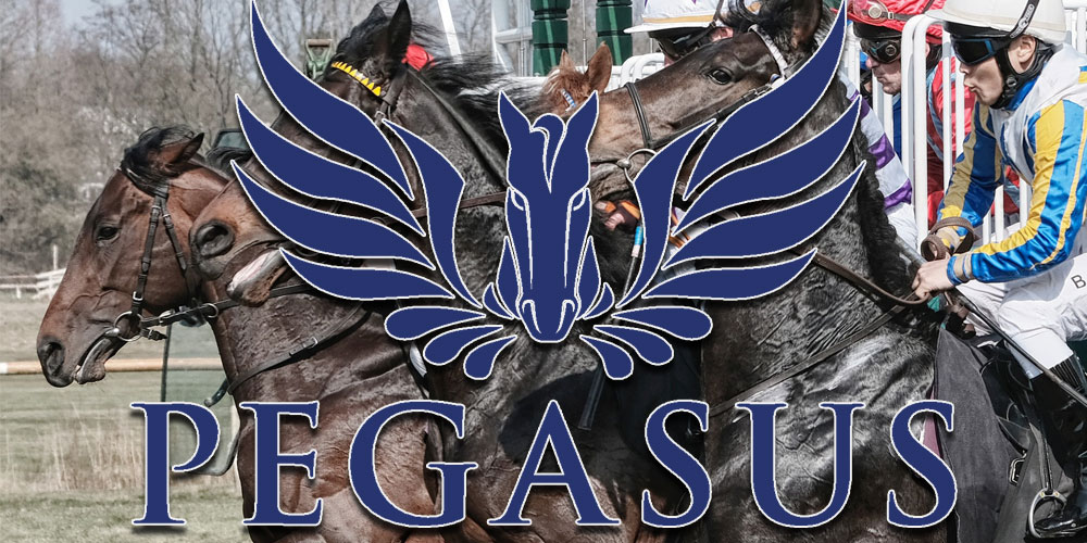The 2019 Pegasus World Cup Odds Diversify Ahead of the Off