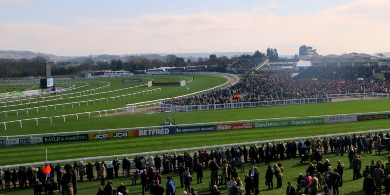 Seven 2019 Cheltenham Festival Favorites To Look Out For