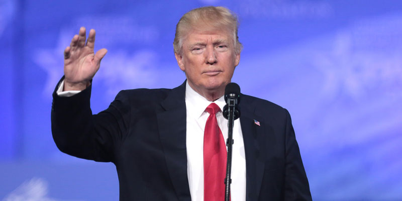 Seven Reasons To Bet On Donald Trump To Win In 2020