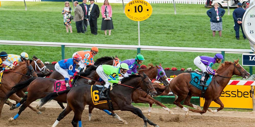 Unobjectionable 2019 Preakness Stakes Odds On Country House