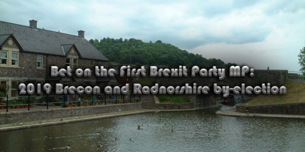 Bet on the First Brexit Party MP to Represent Brecon and Radnorshire Constituency