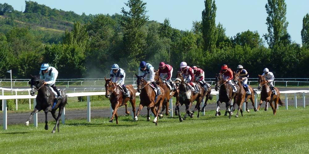 Federal Charges in Horse Race Doping Scheme