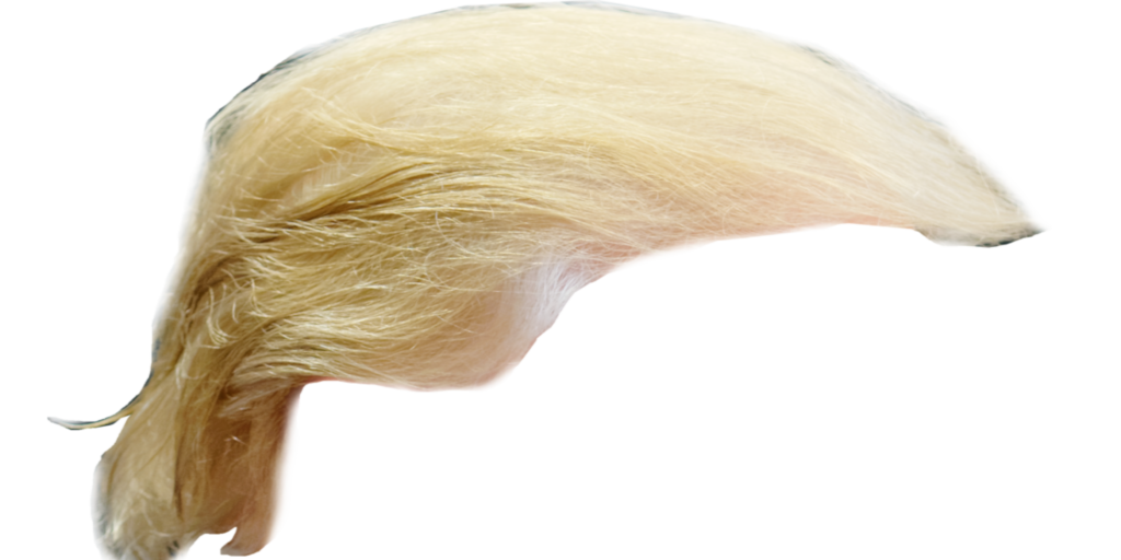 Trump Had Hair Surgery