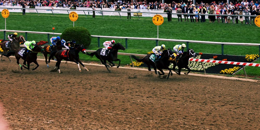 Preakness Stakes 2020 Betting Odds- Dennis’ Moment on the Roll