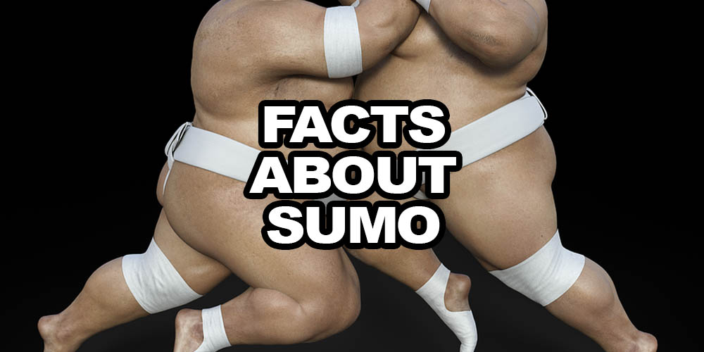 Interesting Facts About Sumo