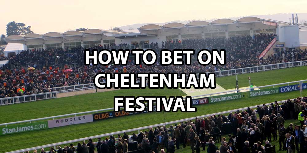 How To Bet On The Cheltenham Festival (A Flutter Guide)