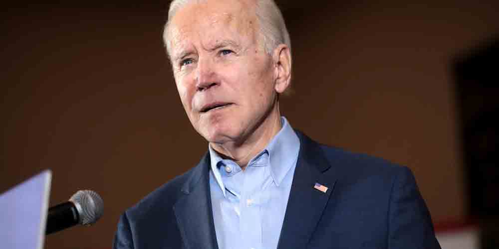 A 2020 Bet On Biden Or Trump Has Bags Of Personality