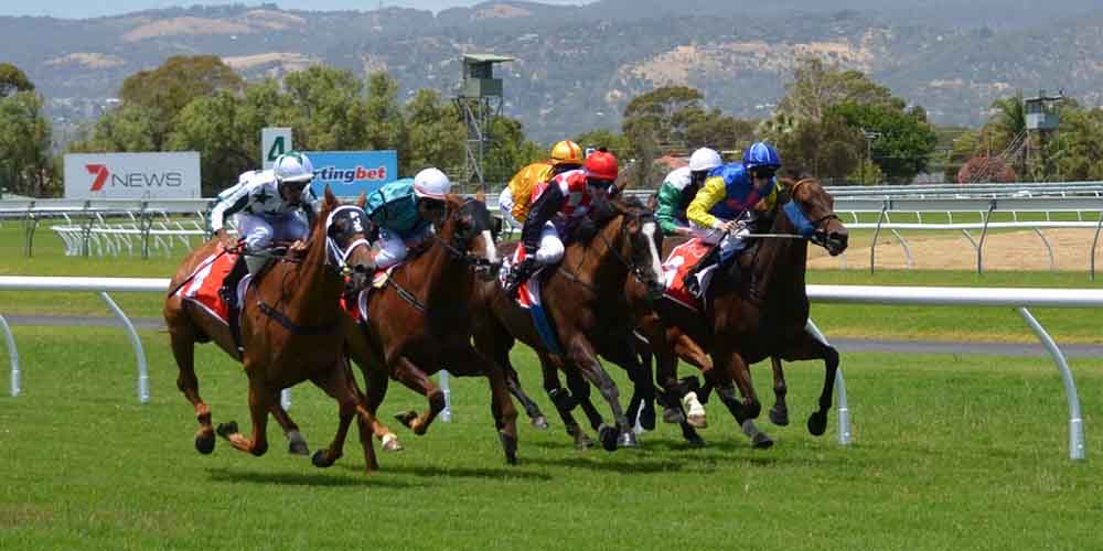 Bet on Horse Racing This Week