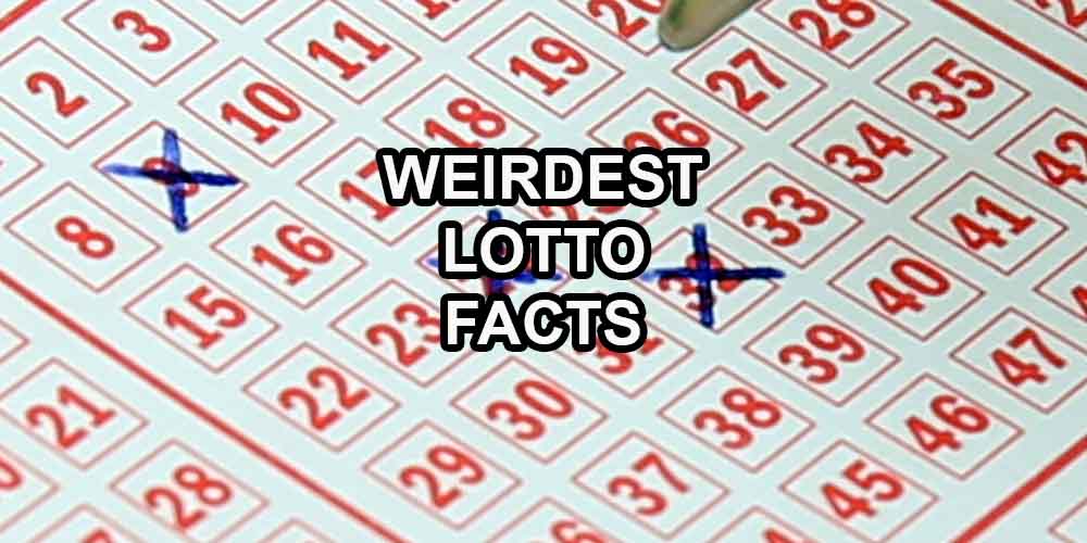 5 Weirdest Lotto Facts to Surprise You