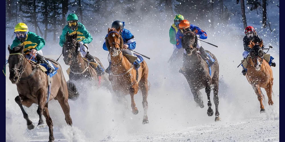 How To Bet On Trotting and Other Forms Of Horse Racing