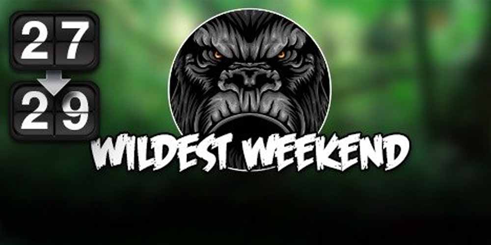 Daily Weekend Bonus at Omni Slots – Win up to 40% Bonus + 50 Spins