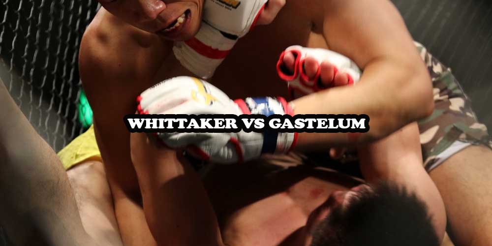 Whittaker vs Gastelum Preview – It is Not a Close Fight!