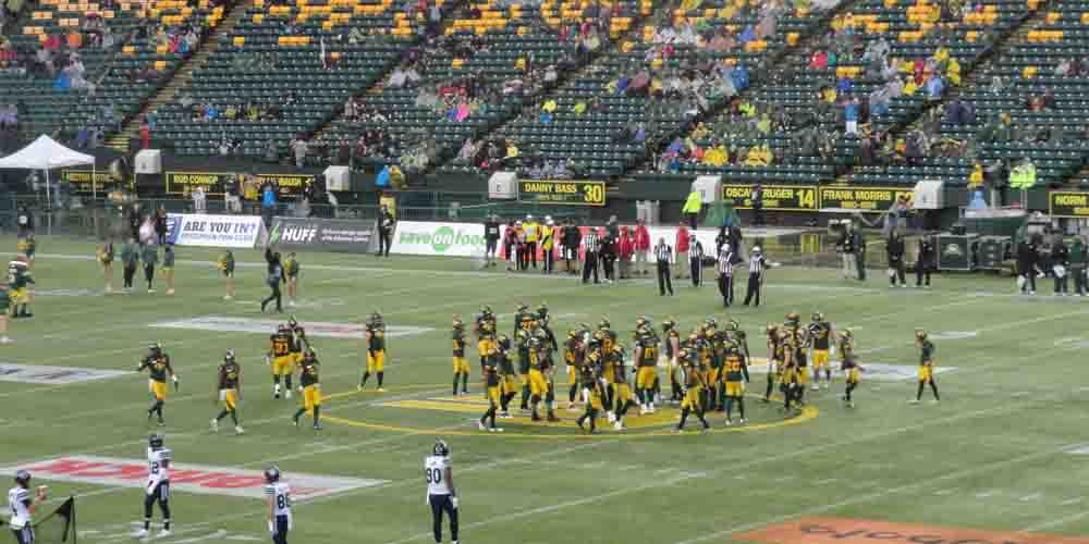 2021 CFL Grey Cup Odds: Hamilton Tiger-Cats for the Win