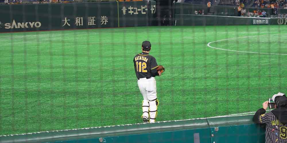 2021 NPB Predictions Points That the Bird Is the Word