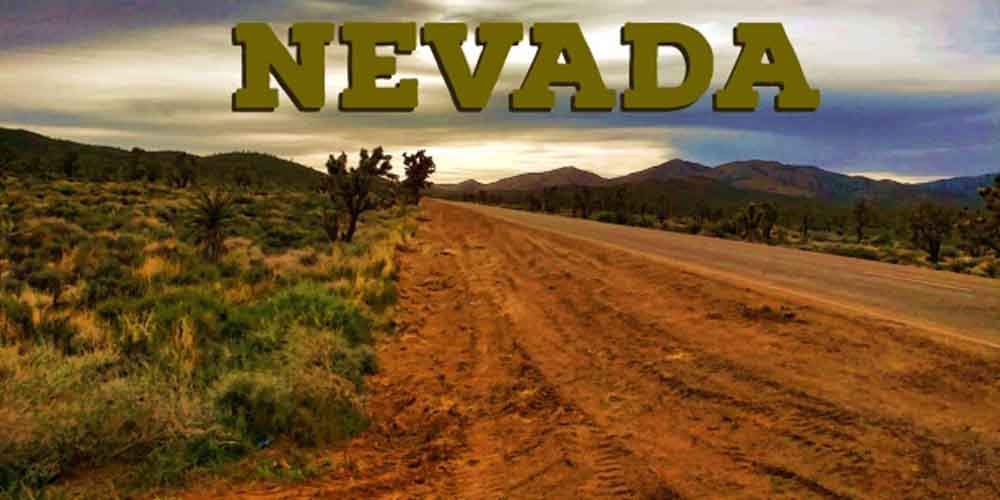 Nevada Bet On US Politics Needing Their Early Guidance