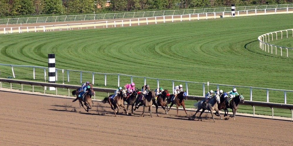 The Best Horse Racing Movies Ever The Sport of Kings