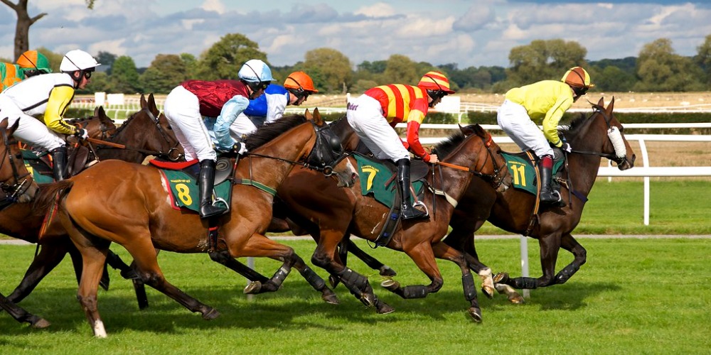 Horse Racing Betting Guide – Not As Hard As You Think