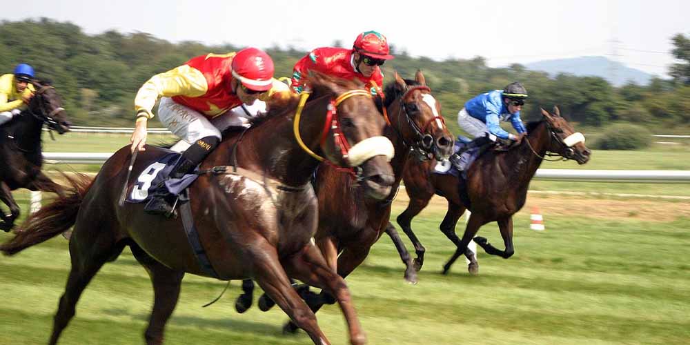 Most Important Horse Racing Events In The World To Bet On