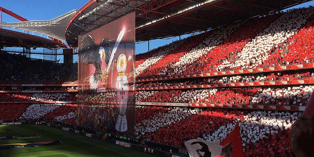 Brugge v Benfica UCL Betting Preview