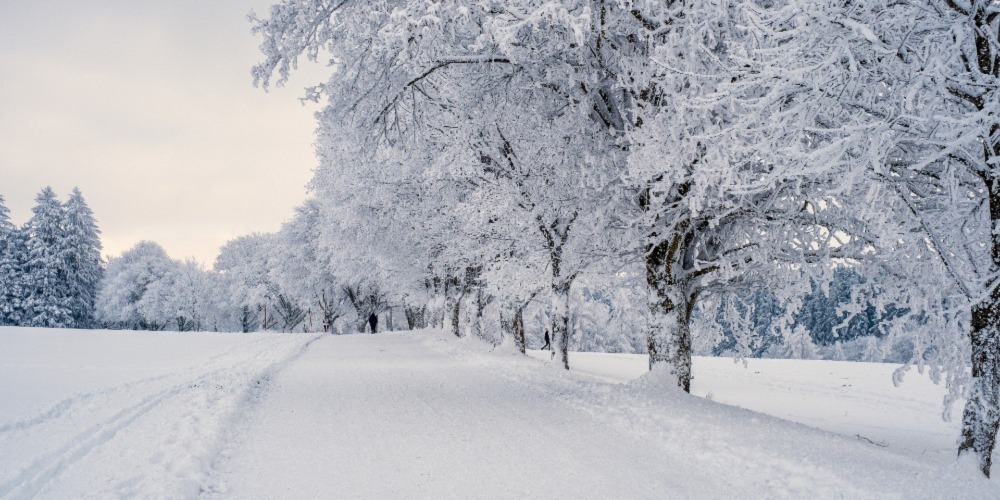 Christmas snow betting predictions Christmas snow betting predictions