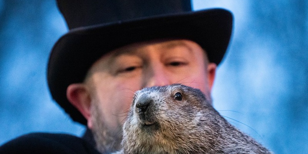 How To Bet On Groundhog Day – Phil Is Back Again