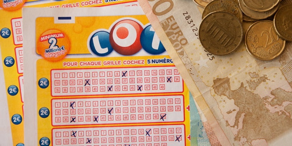 Differences between bingo and lotto