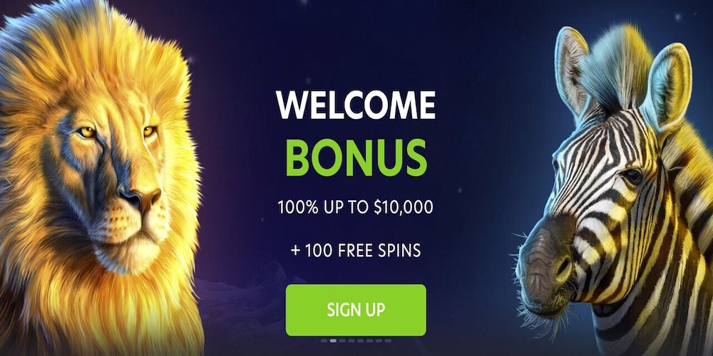 Lemon Casino Welcome Bonus