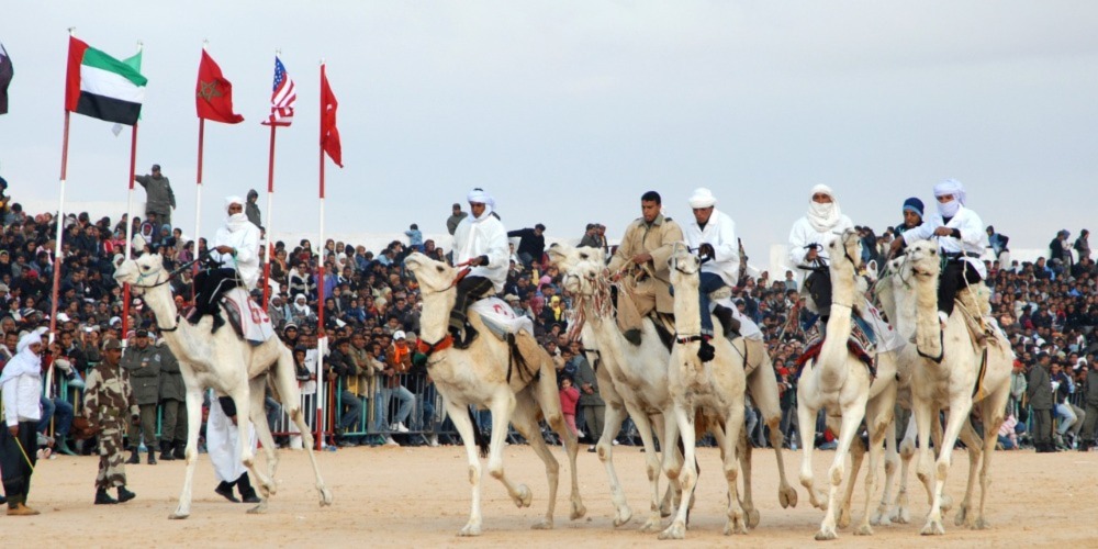 The Tradition of Camel Racing in Dubai
